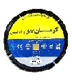 قیمت کرمان کابل رادین